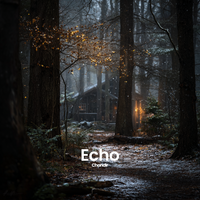 Echo