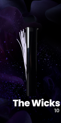 Leather Vibes Bundle